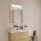 Venice speil MultiWhite® 600x850 mm